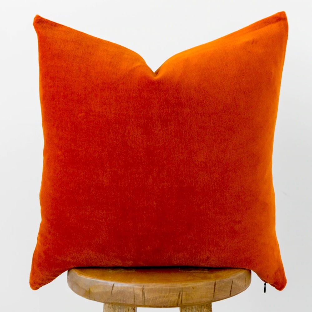 Velvet 20" Pillow Case & Insert